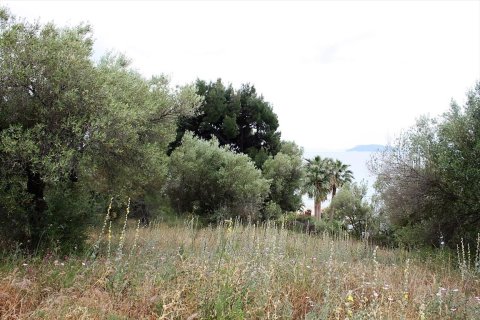 6000m² Land in Chalkidiki, Greece No. 58761 5