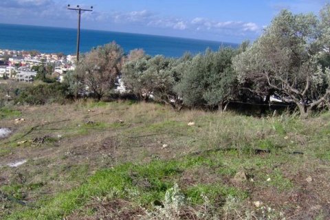 2027m² Land en Chania, Greece No. 58293 4