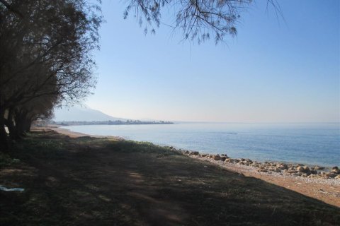 2200m² Land in Avlonas, Greece No. 58294 7