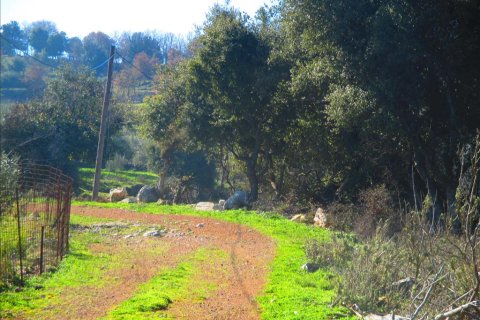 2200m² Land in Avlonas, Greece No. 58294 12