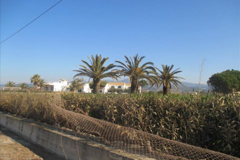 2200m² Land in Avlonas, Greece No. 58294 4