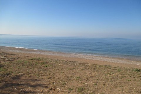 2200m² Land in Avlonas, Greece No. 58294 1