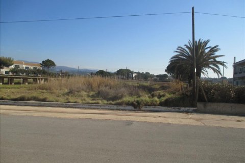 2200m² Land in Avlonas, Greece No. 58294 3