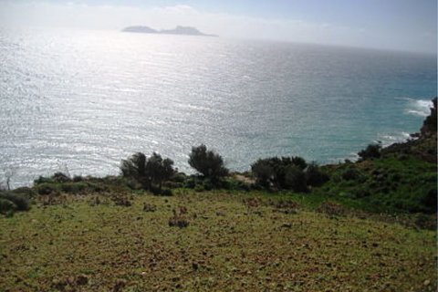 41183m² Land à Rethymno, Greece No. 58006 1