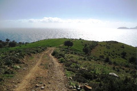 41183m² Land in Rethymno, Greece No. 58006 14