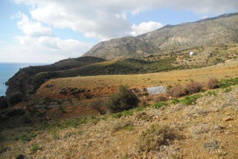 41183m² Land en Rethymno, Greece No. 58006 8