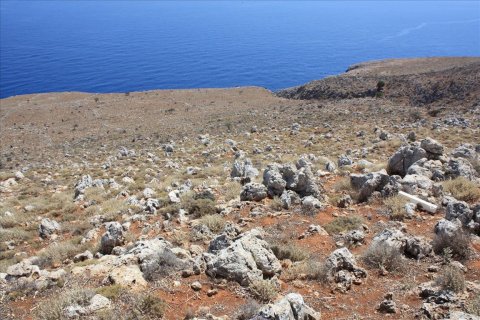 22000m² Land in Vamos, Greece No. 58007 6