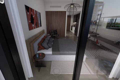 38m² Apartment on the Saadiyat Island, UAE No. 44240 5