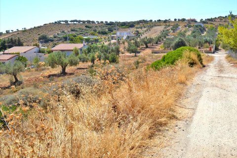 4700m² Land in Keratea, Greece No. 59463 3