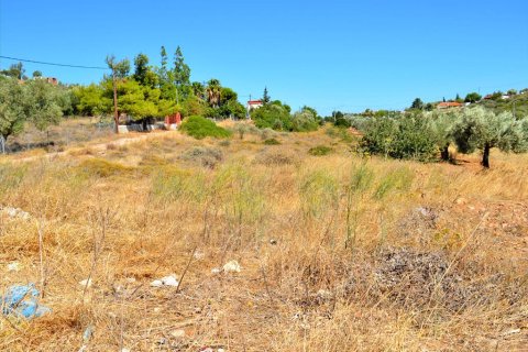 4700m² Land in Keratea, Greece No. 59463 1