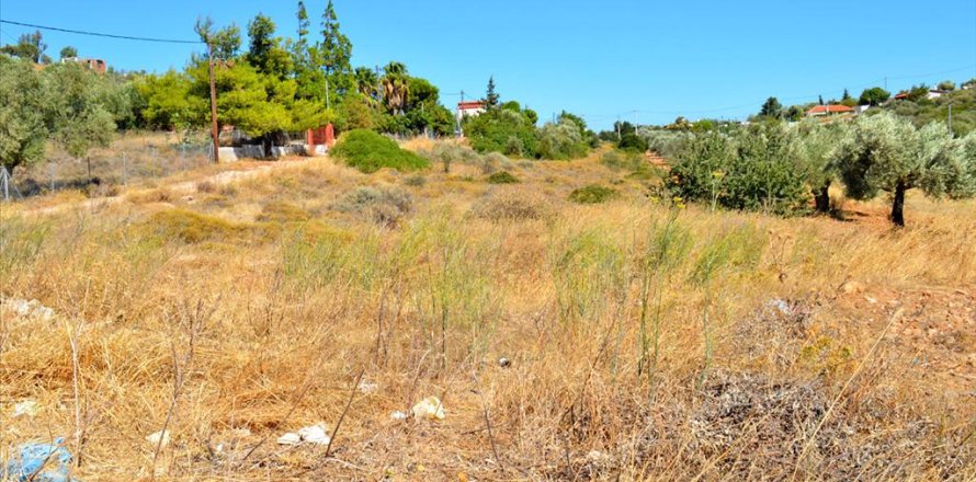 4700m² Land in Keratea, Greece No. 59463