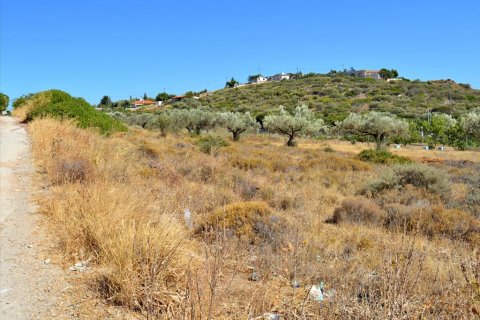 4700m² Land in Keratea, Greece No. 59463 2