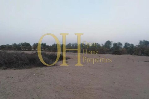 2090.3m² Land in Mohamed Bin Zayed City, UAE No. 8569 4