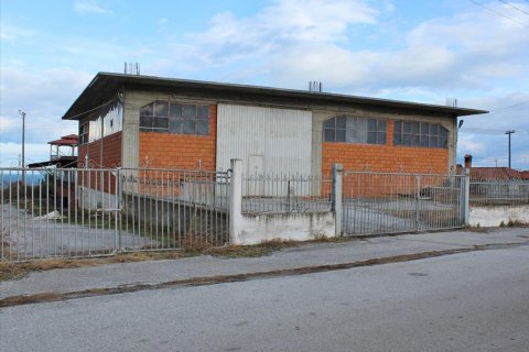 1000m² Business in Litochoro, Greece No. 56674 2