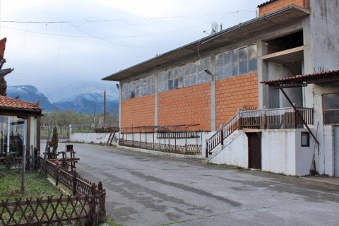 1000m² Business in Litochoro, Greece No. 56674 3