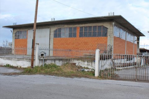 1000m² Business in Litochoro, Greece No. 56674 1