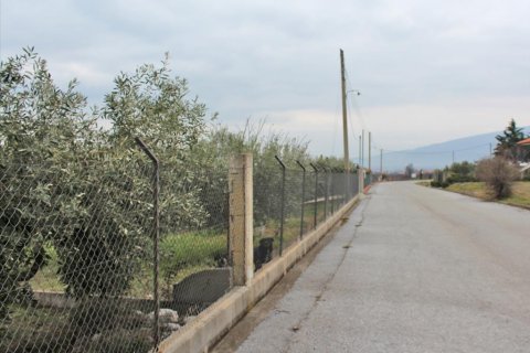 9062m² Land à Dion, Greece No. 56673 4