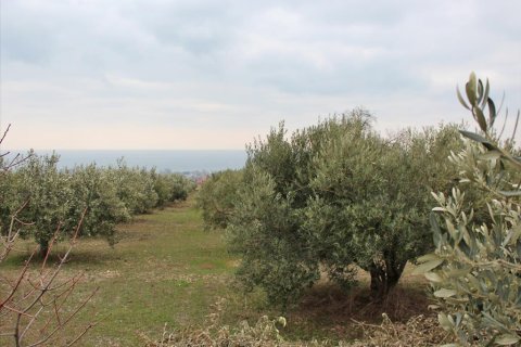 9062m² Land à Dion, Greece No. 56673 3