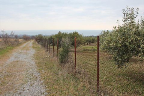 9062m² Land à Dion, Greece No. 56673 1