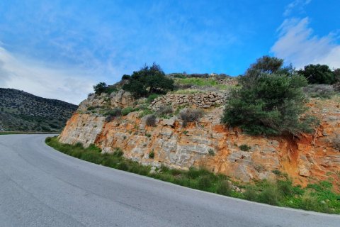 8000m² Land in Agios Nikolaos, Greece No. 56675 4