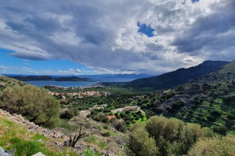 8000m² Land in Agios Nikolaos, Greece No. 56675 1