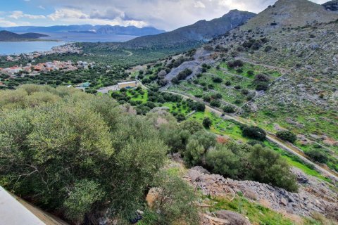 8000m² Land in Agios Nikolaos, Greece No. 56675 2