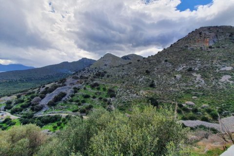 8000m² Land in Agios Nikolaos, Greece No. 56675 3