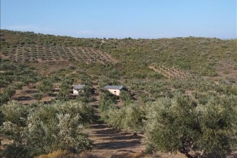 38000m² Land à Euboea, Greece No. 56676 3