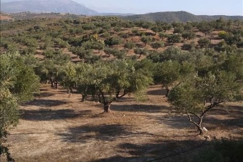 38000m² Land à Euboea, Greece No. 56676 1