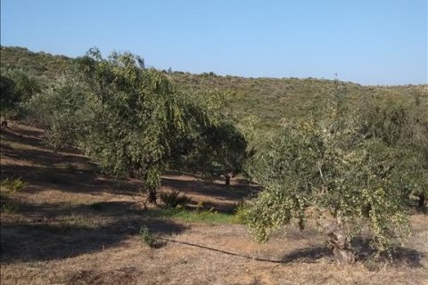 38000m² Land à Euboea, Greece No. 56676 7