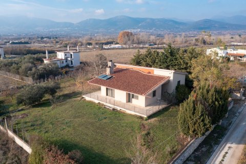 3 dormitorios Villa en Chrysoupoli, Greece No. 54280 3