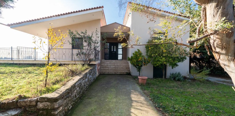 3 bedrooms Villa in Chrysoupoli, Greece No. 54280