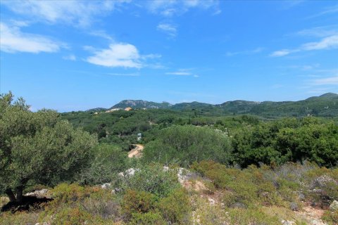 2000m² Land in Corfu, Greece No. 57979 9