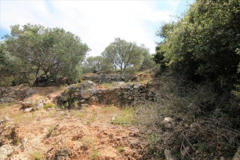 2000m² Land in Corfu, Greece No. 57979 16