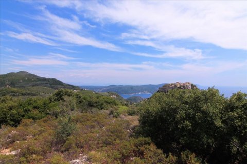 2000m² Land in Corfu, Greece No. 57979 10