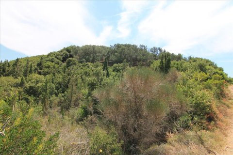 2000m² Land en Corfu, Greece No. 57979 17