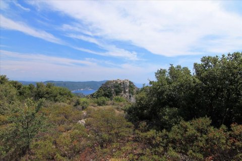 2000m² Land en Corfu, Greece No. 57979 13