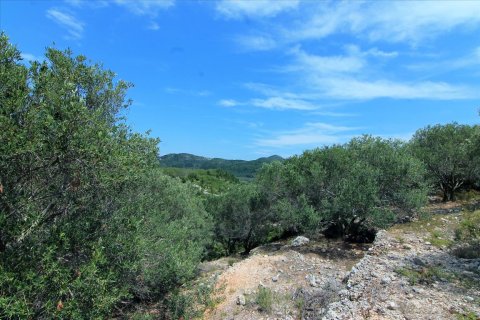 2000m² Land en Corfu, Greece No. 57979 14