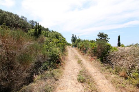 2000m² Land in Corfu, Greece No. 57979 18