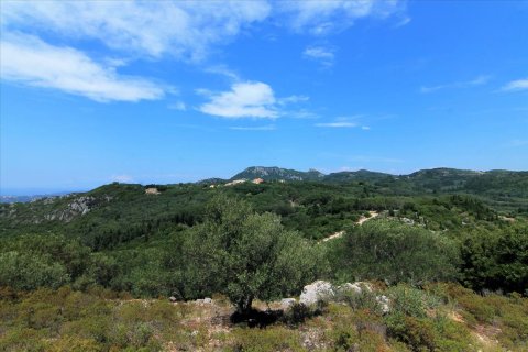 2000m² Land en Corfu, Greece No. 57979 8