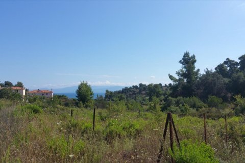 9000m² Land à Chalkidiki, Greece No. 57983 1