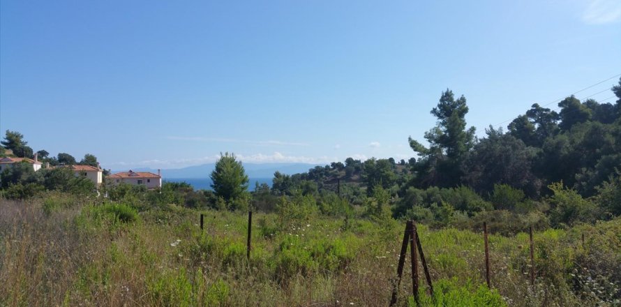 9000m² Land à Chalkidiki, Greece No. 57983