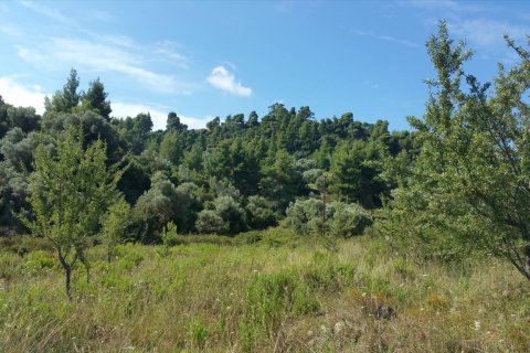 9000m² Land en Chalkidiki, Greece No. 57983 2