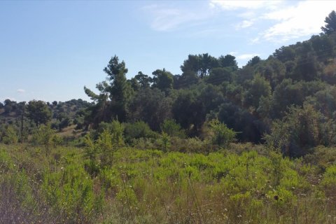 9000m² Land en Chalkidiki, Greece No. 57983 5