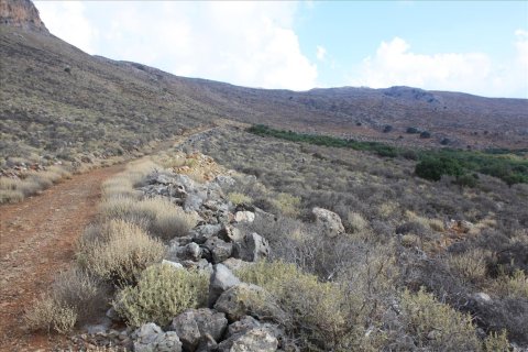 25000m² Land in Kolymvari, Greece No. 57953 7