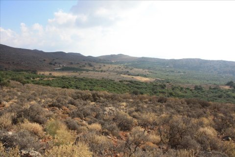 25000m² Land à Kolymvari, Greece No. 57953 4