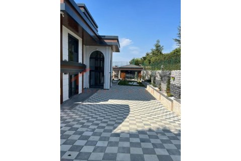 6+1 Villa à Bueyuekcekmece, Turkey No. 20225 27