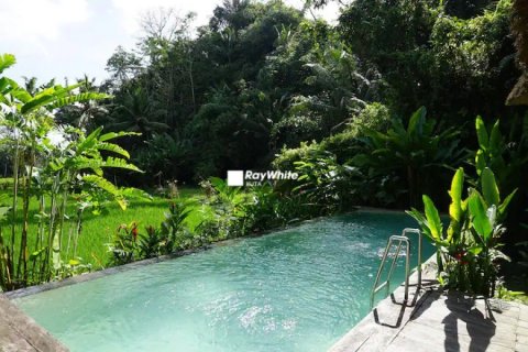 7 bedrooms Villa in Ubud, Indonesia No. 22990 2