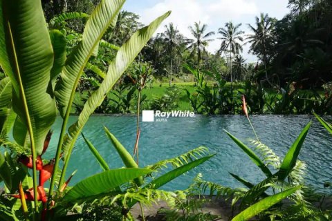 7 dormitorios Villa en Ubud, Indonesia No. 22990 18