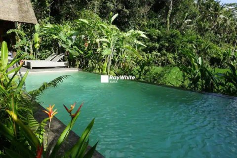 7 bedrooms Villa in Ubud, Indonesia No. 22990 17